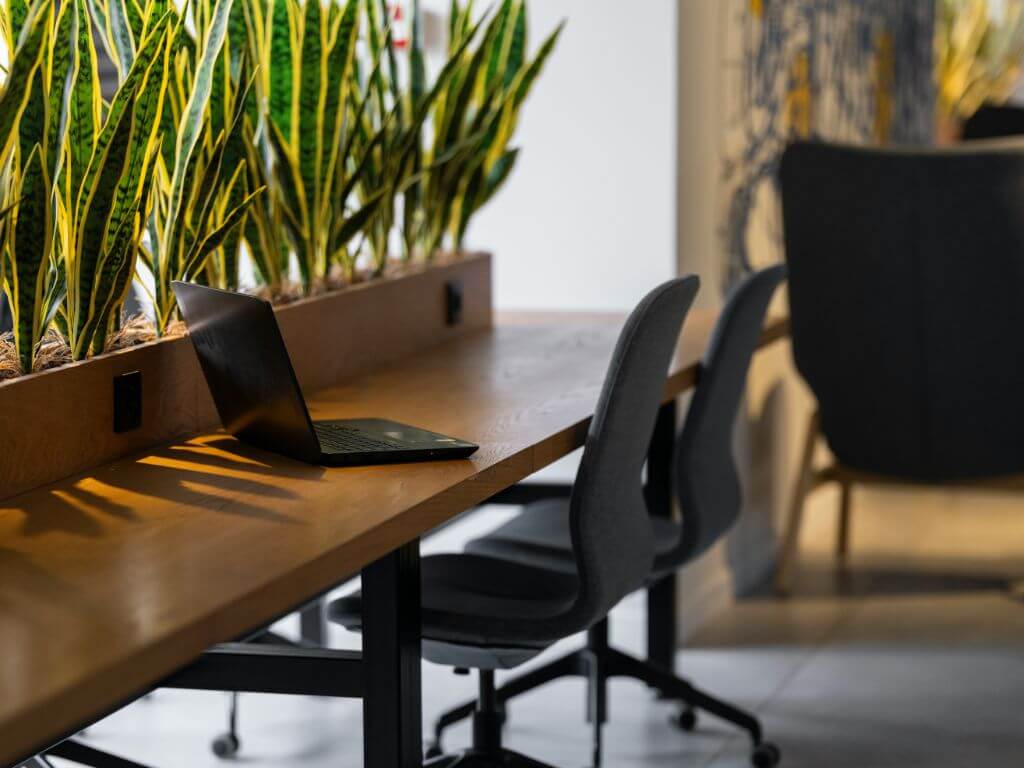 Laptop on a wooden desk with green indoor plants and office chairs.