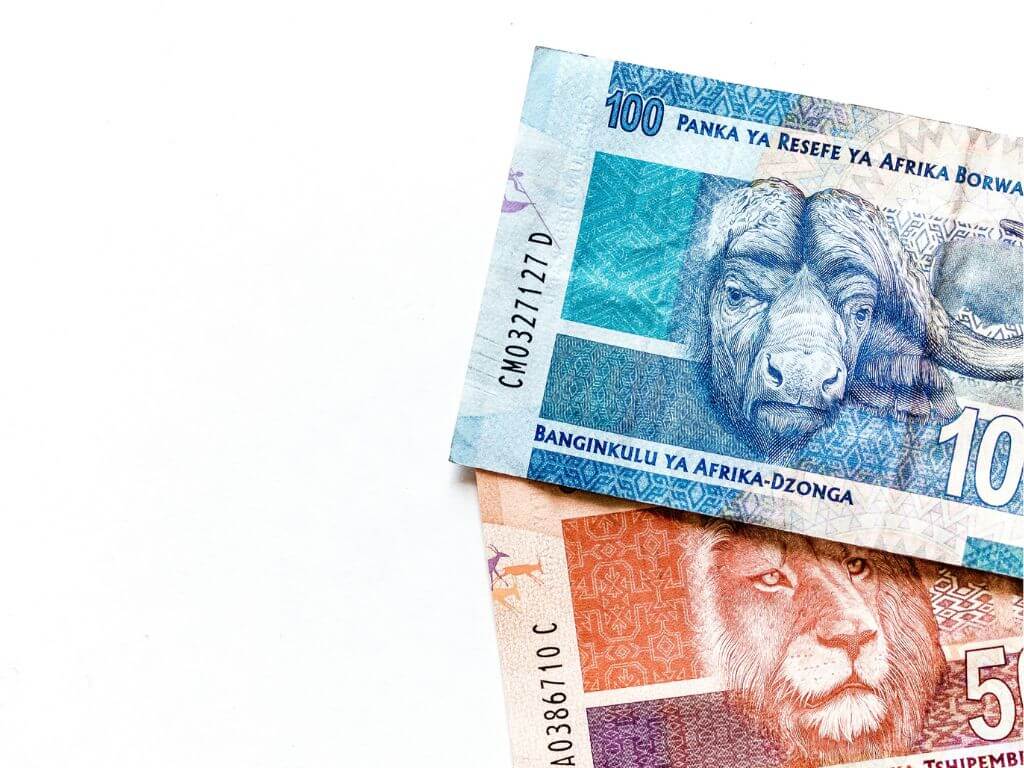 South African currency with images of animals on the banknotes